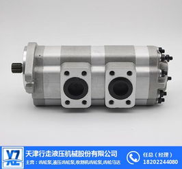 齿轮泵公司 洛阳齿轮泵 行走液压齿轮泵 图