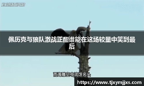 彩神官方网站