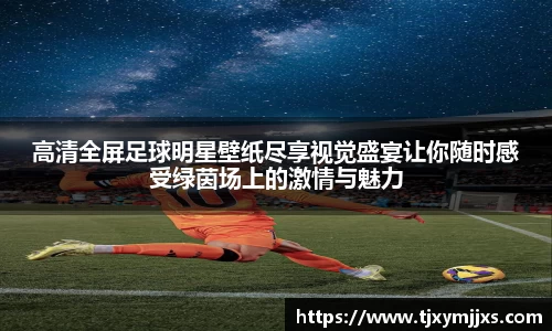 高清全屏足球明星壁纸尽享视觉盛宴让你随时感受绿茵场上的激情与魅力